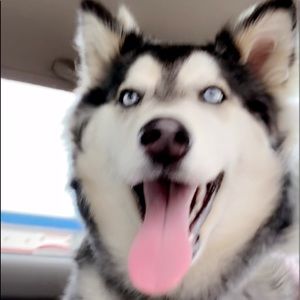 Meet your Posher, Annalisia